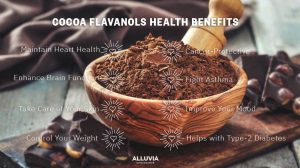 COCOA FLAVANOLS HEALTH BENEFITS